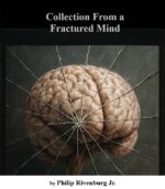 Collection From a Fractured Mind